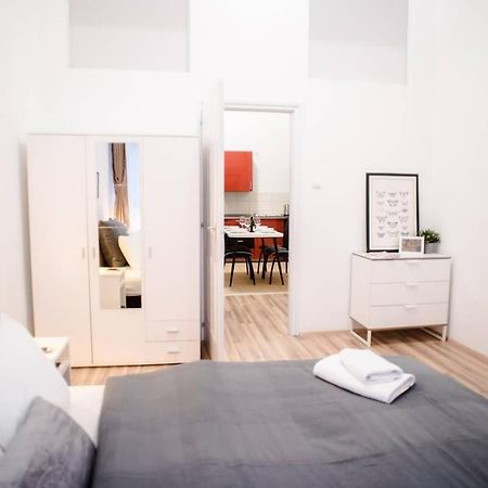 Very Central Spacious Ac Apartment Budapest Kültér fotó
