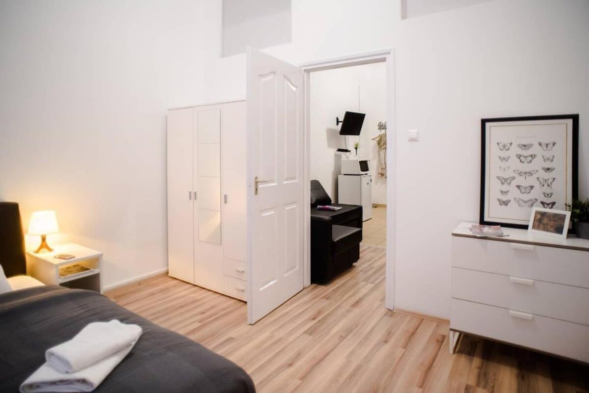 Very Central Spacious Ac Apartment Budapest Kültér fotó
